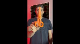 Carrot Scissors?