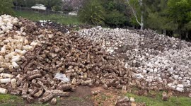 Food waste from Australian businesses down 13 pct in 3 years: report