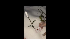Chinese woman creates stunning