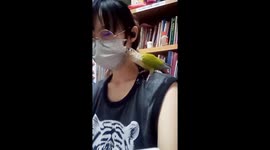 Pet parrot makes light work of owner's face mask