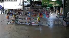 Monkey caught on CCTV stealing food from grocery shop
