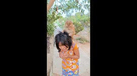 Girl gets a free hair check from pet monkey