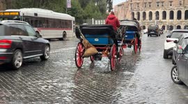 Two 'botticelle', one of the symbols of the Eternal City, a horse-drawn carriage that carries tourists around the historic center, leave the center on a rainy day in Rome.