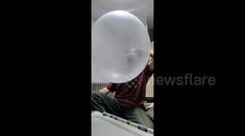 Uni student blows bubble gum almost big enough to fit himself in