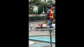 Huge monitor lizard ushered away from road using a broomstick