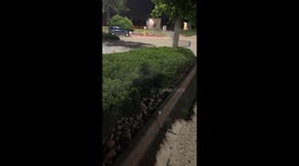 Person Getting Dragged by Car