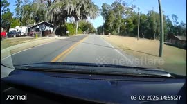 White Car Ran Stop Sign Causing Crash