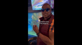 'So when do they cook them?' Haitian dad confused by US aquarium