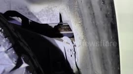 Huge python caught in car engine in Thailand