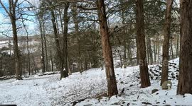 Arctic Air in Mountainburg, AR