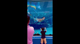 Hulky 'merman' impresses visitors to aquarium in the Philippines