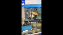 Bizarre fish with “human face” spotted at market in China