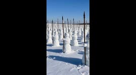 Massive “snowman army” stuns Chinese visitors in Harbin