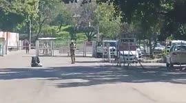 Horror bee attack leaves six soldiers injured in India