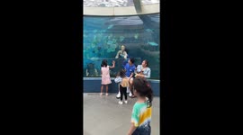 Sweet mermaid delights little girls at ocean park