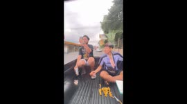 Wild monkeys cause chaos by trying to steal bananas from truck