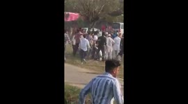 Lamb rogan bosh! Indian wedding guests have mass brawl in argument over curry
