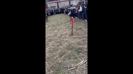 Wheelbarrow racing challenge at the festival in Vietnam