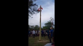 The challenge of climbing a five-meter-high banana tree to get the flag at the top