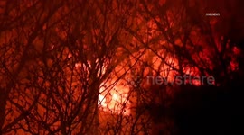 US, Los Angeles: Apple Valley Vegetation Fire Breaks Out in Mojave Narrows River Bottom