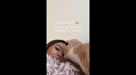 Cat Removes Fake Eyelash