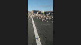 Cleaning Up After Truck Loaded With Stones Overturned