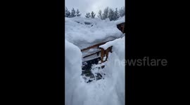 US: Homes, Cars Buried In Lake-Effect Snow In Western New York