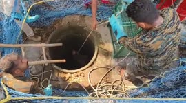 Baby honey badger rescued from 40-feet abandoned well