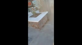 All bark, no bite: Dog yaps at passerby from behind fence despite gate being wide open