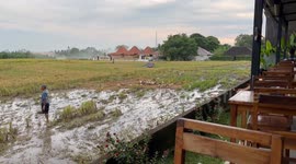 Man controls geese in Ubud, Bali, Indonesia