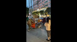 Heartfelt help: Dog aids elderly couple in cart transport in China
