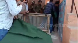 Students lock leopard in school toilet in India