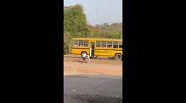 Playful pet Dalmatian runs over to school bus to greet boy returning home