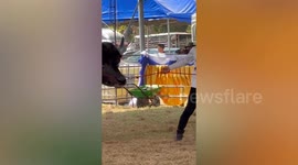 World's tallest buffalo towers over farm workers in Thailand