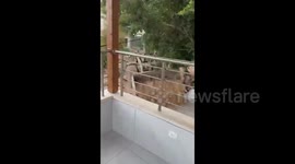 Israeli army's bulldozers continue their systematic destruction of civilian infrastructure in the town of Qabatiya