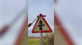 Army veteran wages war against dirty road signs