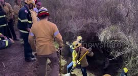US: Horse’s Harrowing Fall Sparks Daring Helicopter Rescue