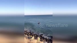 US: Daring Rescue Unfolds at Mugu Rock as Firefighters Save Victim from Ocean’s Edge