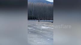 Dog rescued from frozen pond after falling through thin ice