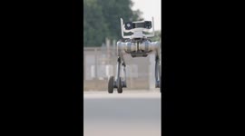 China's versatile power inspection robot dog