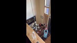 Household Trick Shot Compilation Madness