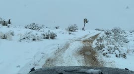 Snowfall in Joshua Tree National Park