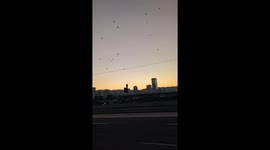 Crows Fly Toward Downtown Portland