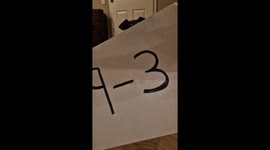 Genius dog completes math problems