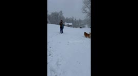 Man Sleds Into Snow Face First