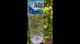 Сaterpillars Circle Water Bottle