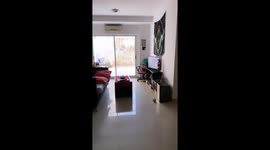 Dog Sits Like He Pays Bills