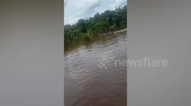 Schoolboy, 10, missing attack being attacked by crocodile in Indonesia