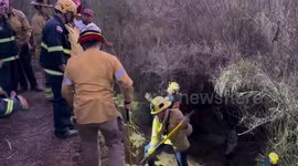 Horse rescued after slipping down steep embankment in California