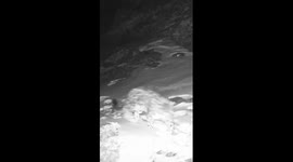 Rare infrared footage captures snow leopard family hunting in China's Xinjiang